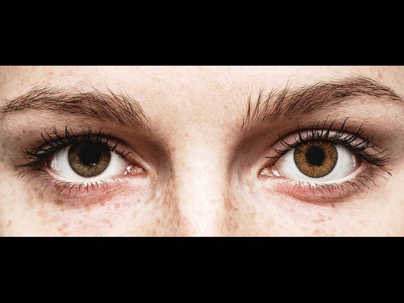 Ruskeat Hunaja linssit - FreshLook ColorBlends - Tehoilla (2 kpl)
