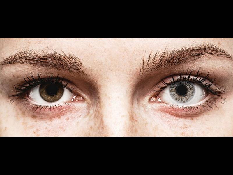 Harmaat Misty Gray linssit - FreshLook Colors - Tehoilla (2 kpl)