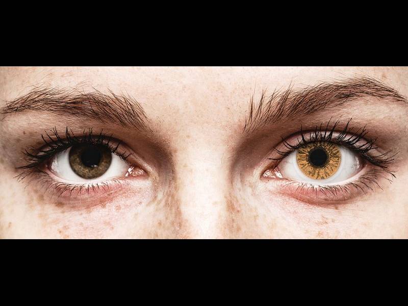 Ruskeat Hazel linssit - FreshLook Colors (2 kpl)